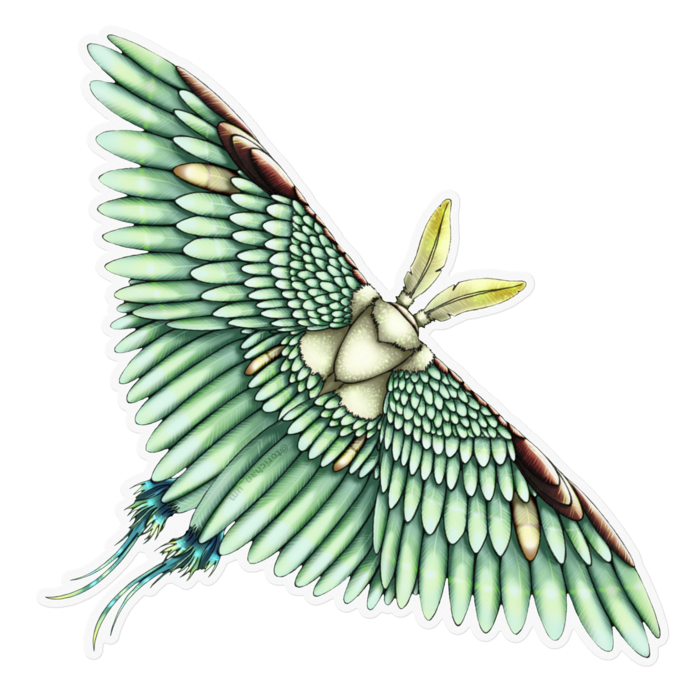 緑　ー　クリア／160 x 160㍉