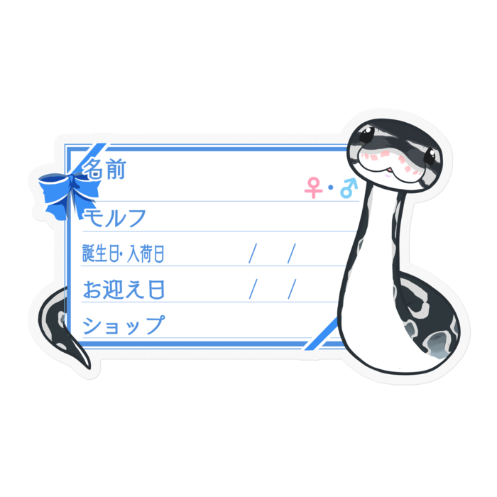 【🐍お名前ステッカー】ボールパイソン(アザン)-リボン／ブルー
