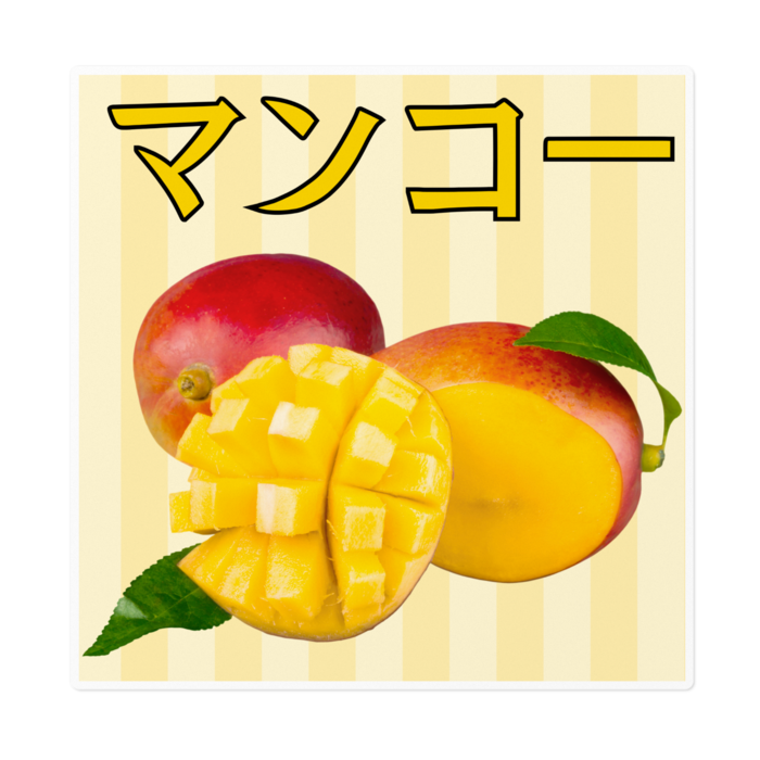 Mサイズ 160 x 160 (mm)