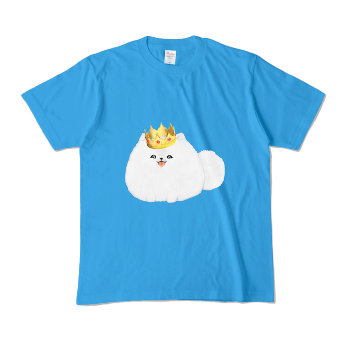 カラーTシャツ - M - ターコイズ (濃色)