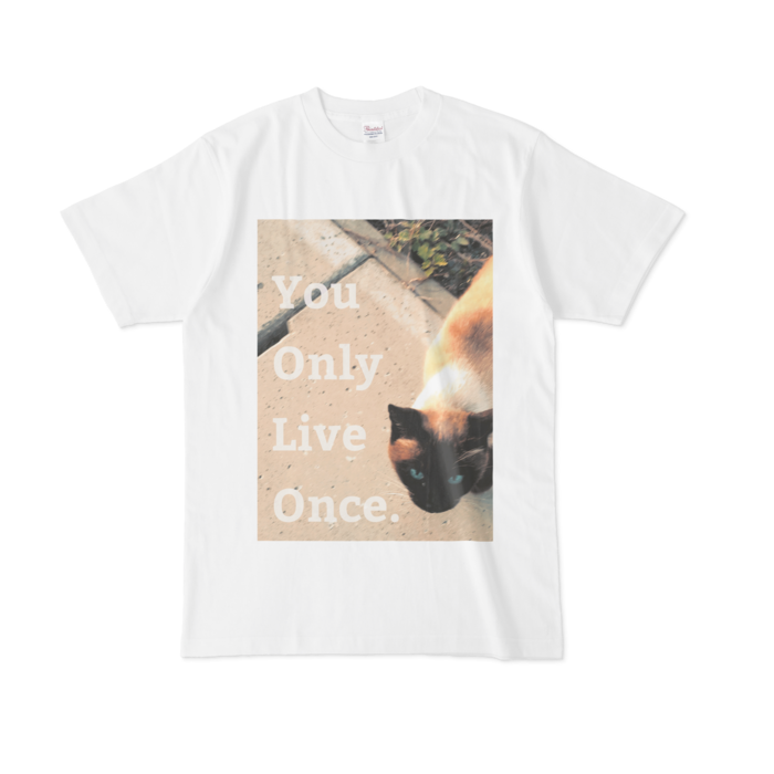 Tシャツ - L - 白