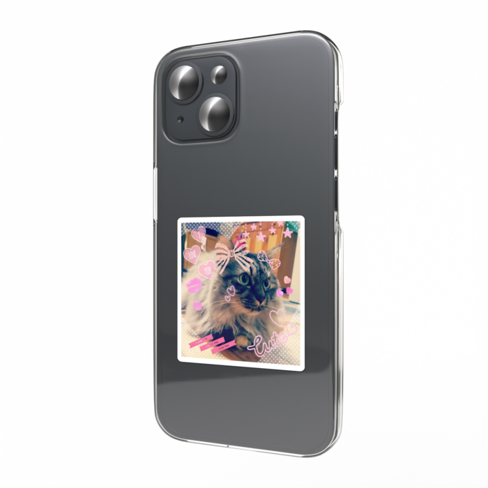 世界で一番お姫様