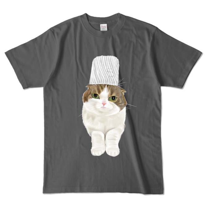 カラーTシャツ - L - チャコール (濃色)