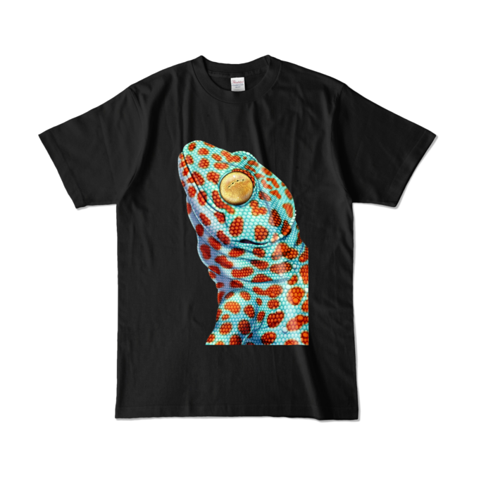 カラーTシャツ - L - ブラック (濃色)