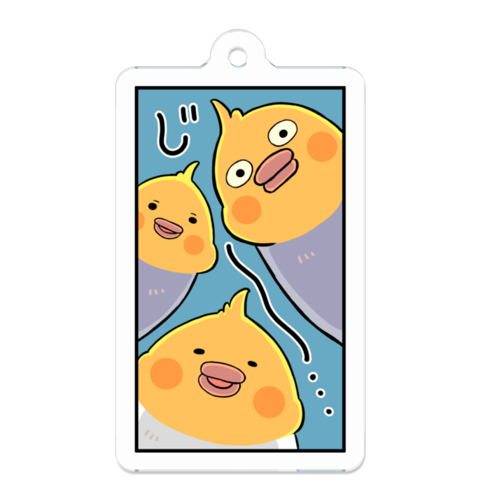 オカメインコのじーっと見つめる - 50 x 50 (mm)