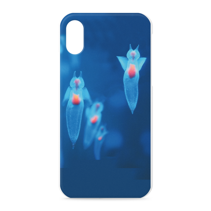iPhoneケース - iPhone XS / X - 正面印刷のみ