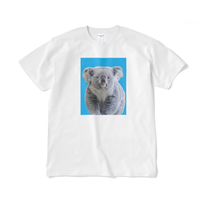 XL