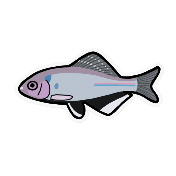 クリアステッカー - 100 x 100 (mm)