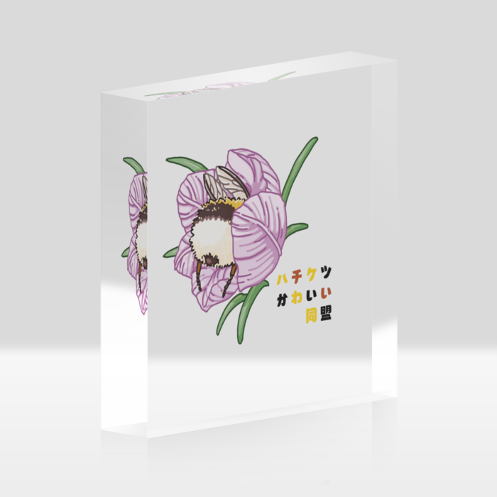 アクリルブロック - 100x100mm