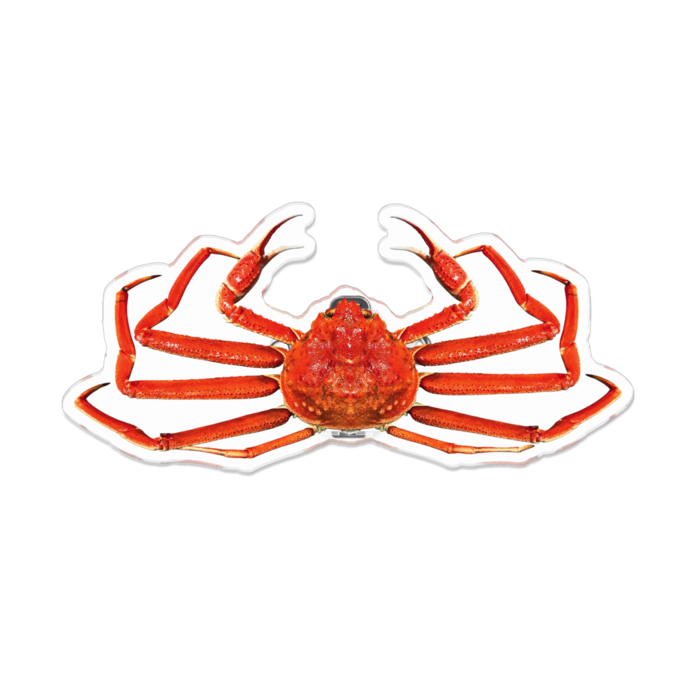 アクリルバッジ - 100 x 100 (mm)