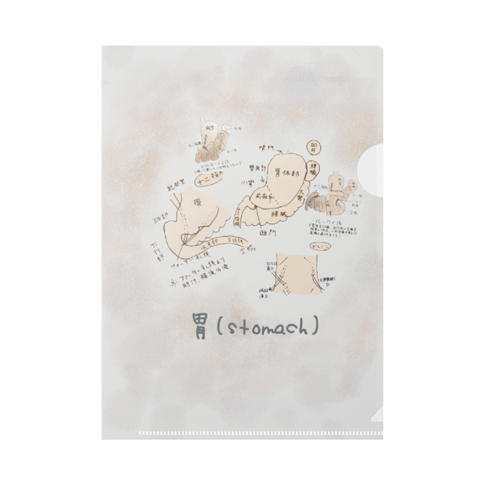 クリアファイル - A5