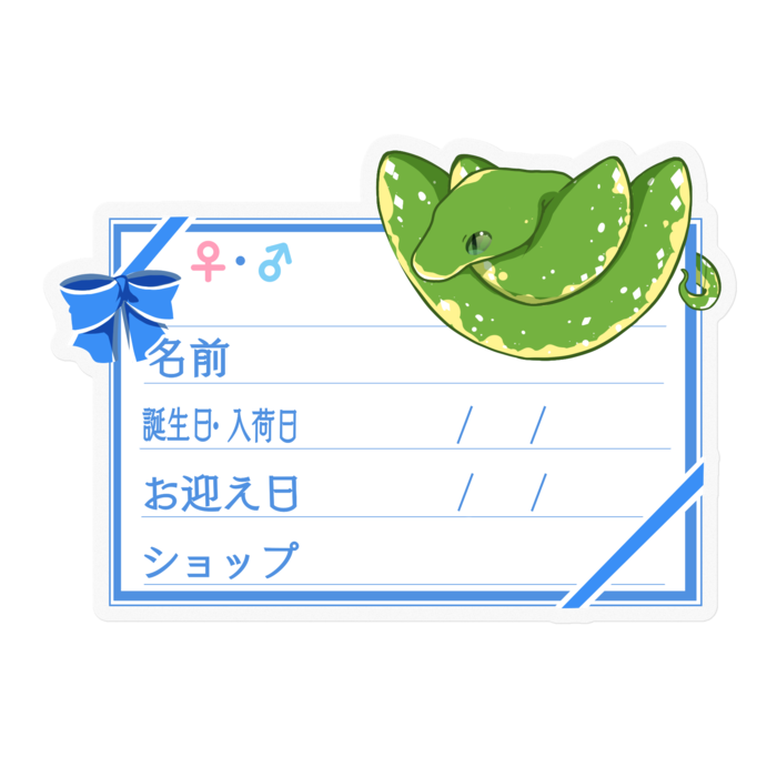 【🐍お名前ステッカー】グリンパイ(ビアク) ‐リボン／ブルー