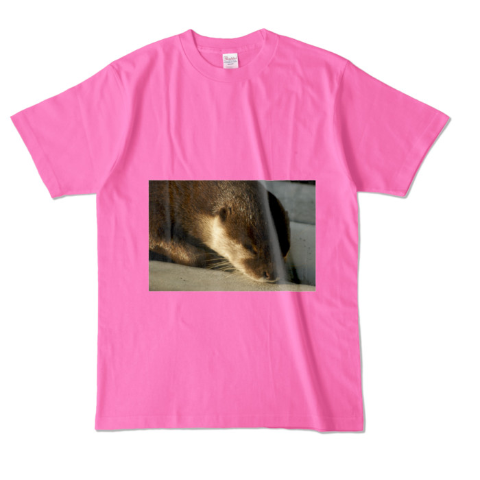 カラーTシャツ - L - ピンク (濃色)