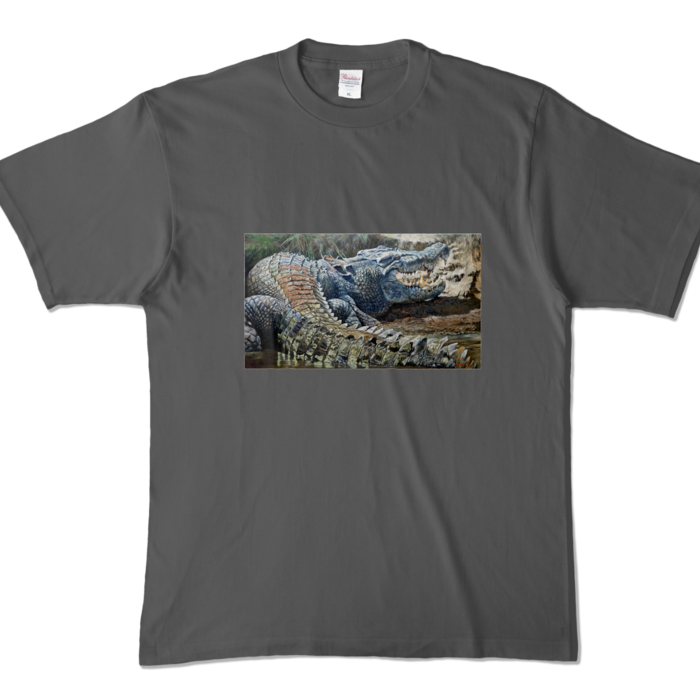 カラーTシャツ - XL - チャコール (濃色)