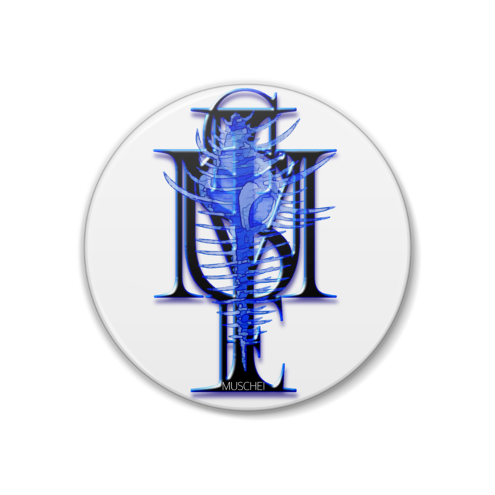 🐚缶バッジ - 38mm