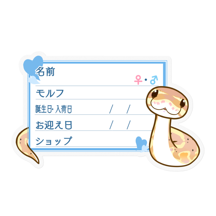 ใ๐ใๅๅในใใใซใผใใใผใซใใคใฝใณ(ใใใใใ) โใใผใ๏ผใใซใผ