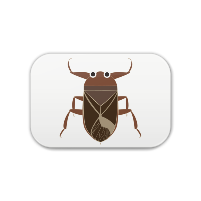 缶バッジ - 角丸 76x51mm