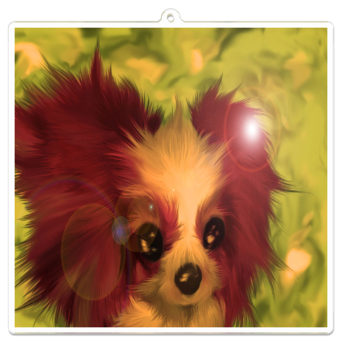 アクリルキーホルダー - 100 x 100 (mm)