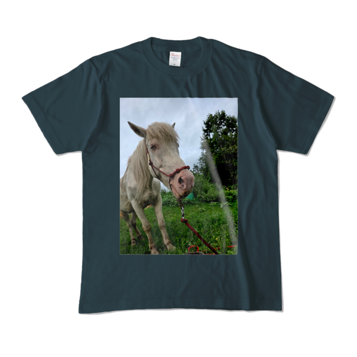 カラーTシャツ - M - デニム (濃色)