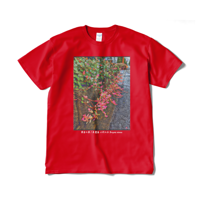 黄金の華 朱鷺茜 小判の木 Breynia nivosa Tシャツ - XL - レッド
