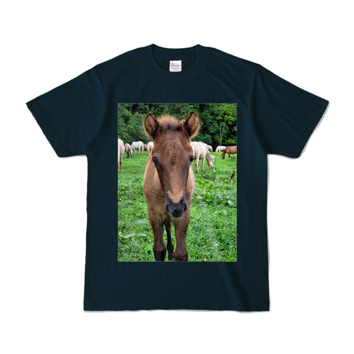 カラーTシャツ - S - ネイビー (濃色)