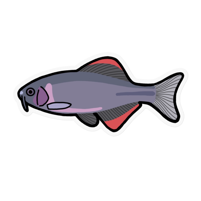 クリアステッカー - 100 x 100 (mm)