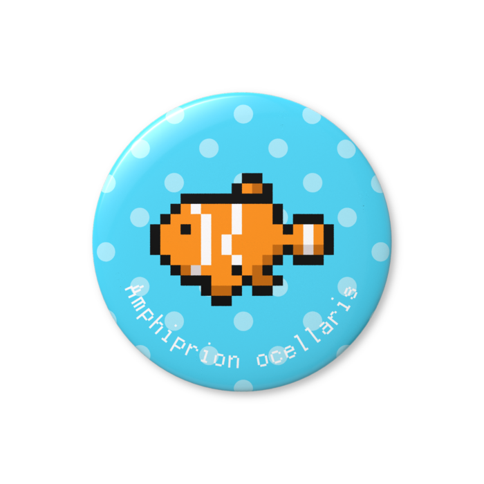 カクレクマノミ