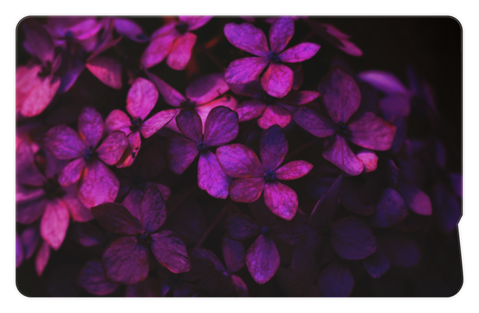 Icカードステッカー Abyss Booth