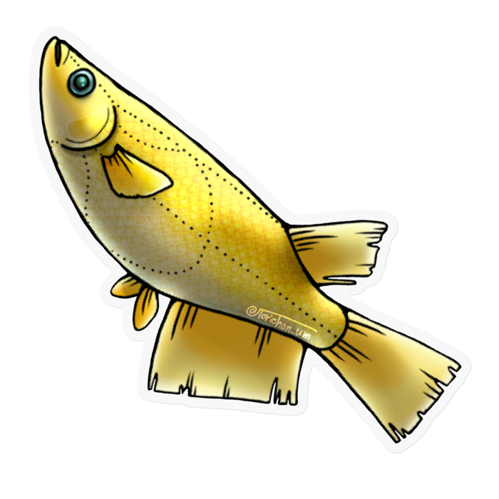 ヒカリ　ー　クリア／100 x 100㍉