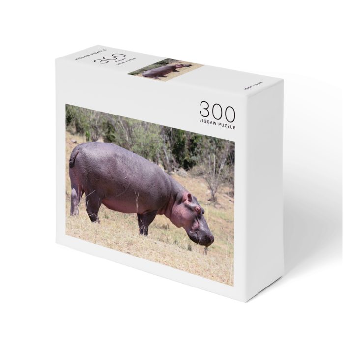 Hippopotamus Kenya Puzzle Akimath Booth