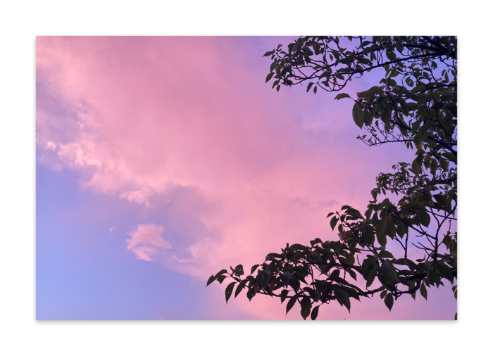 ポストカード(10枚セット) - ヴァンヌーボVGスノーホワイト195kg