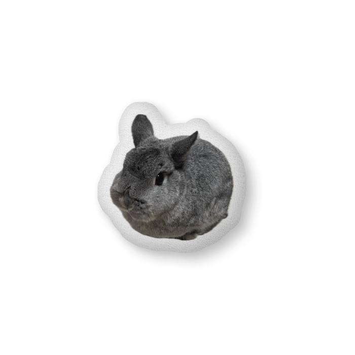ふかふかクッション - 中（H36×W56cm） - 片面
