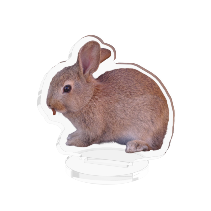 アクリルフィギュア - 50x50mm