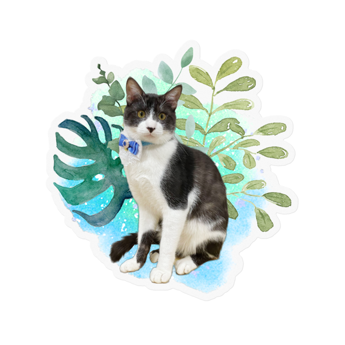 ステッカー - 100 x 100 (mm)