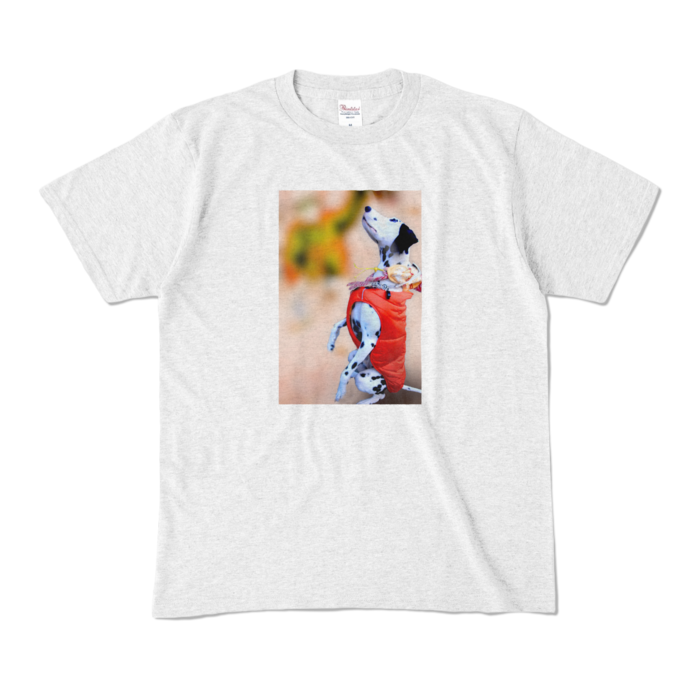 カラーTシャツ - M - アッシュ (淡色)