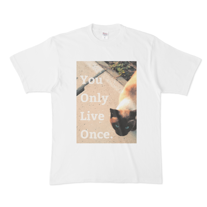 Tシャツ - XL - 白