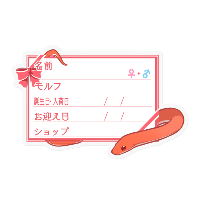 【🐍お名前ステッカー】コーンスネーク(ブラッドレッド) - リボン/ピンク