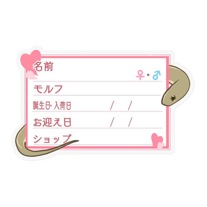 【🐍お名前ステッカー】ガンスタマゴヘビ ‐ハート／ピンク