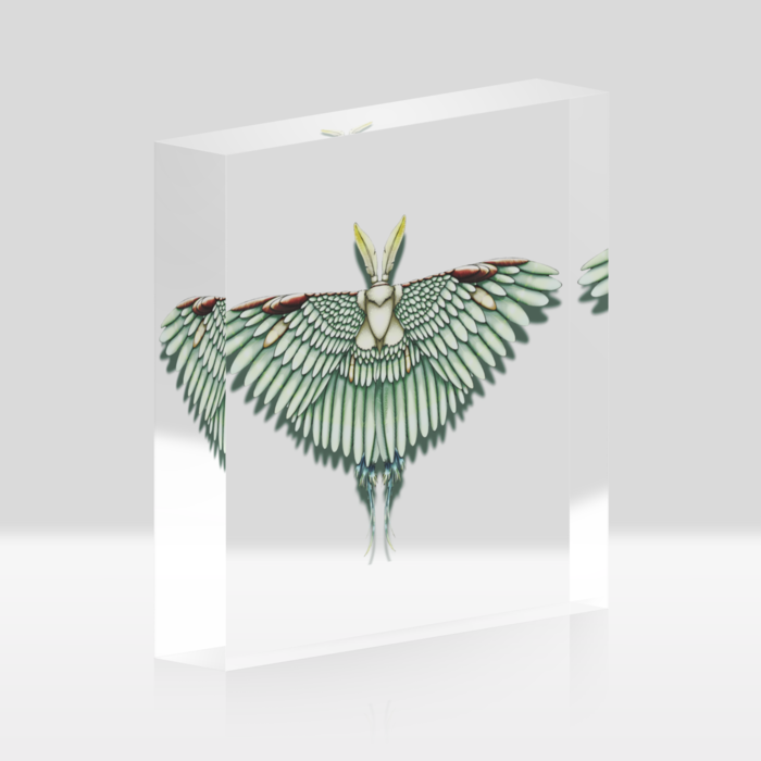 緑 ー クリア/100x100mm