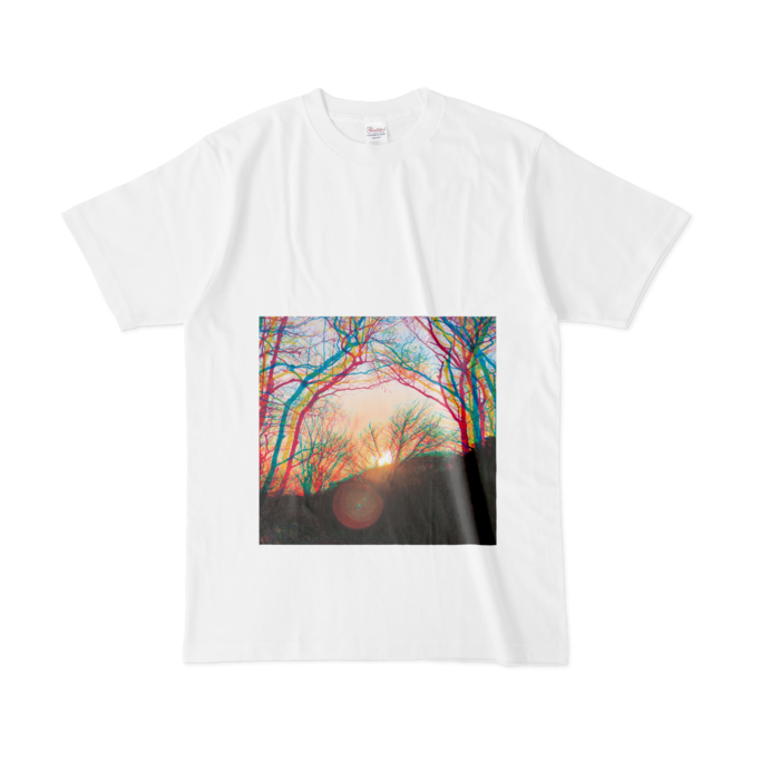 Tシャツ - L - 白