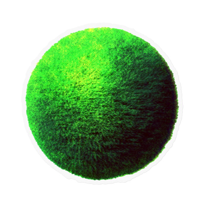 ステッカー - 100 x 100 (mm)