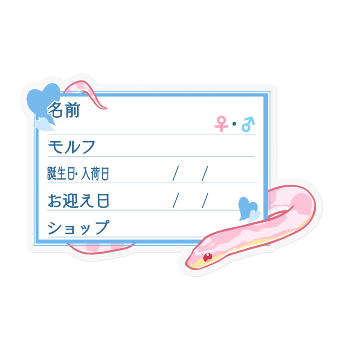 【🐍お名前ステッカー】コーンスネーク(コーラルスノー)-ハート／ブルー