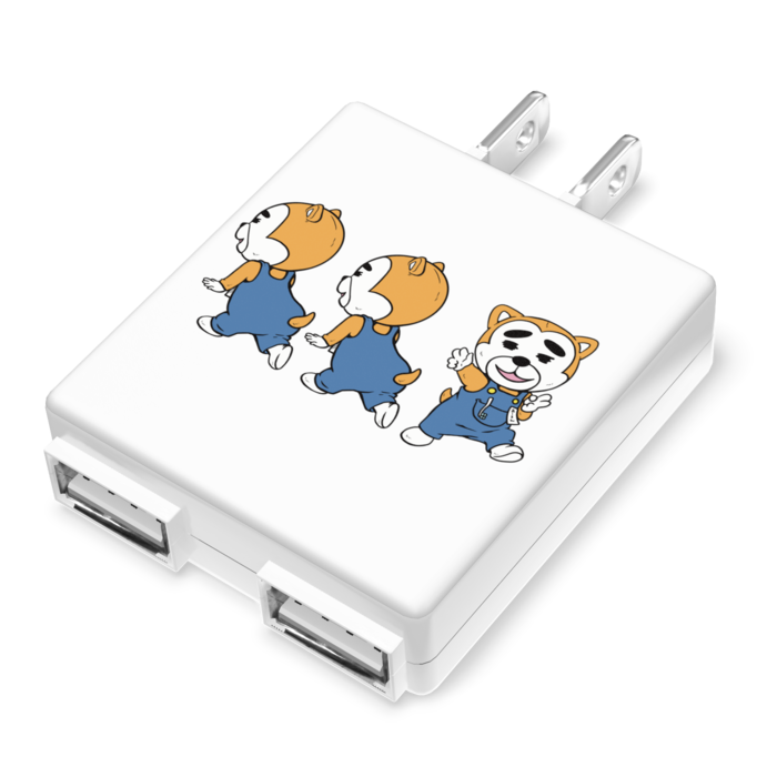 ACアダプター - 50×55mm