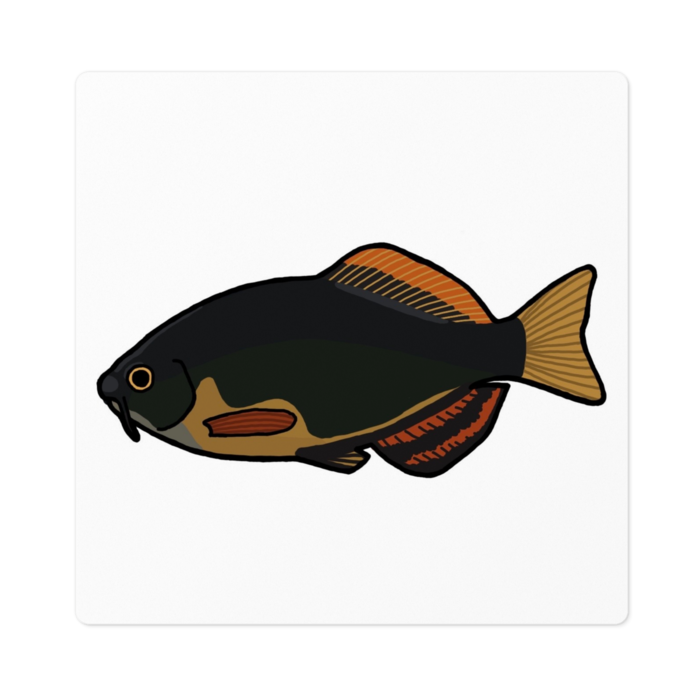 ステッカー - 100 x 100 (mm)(1)