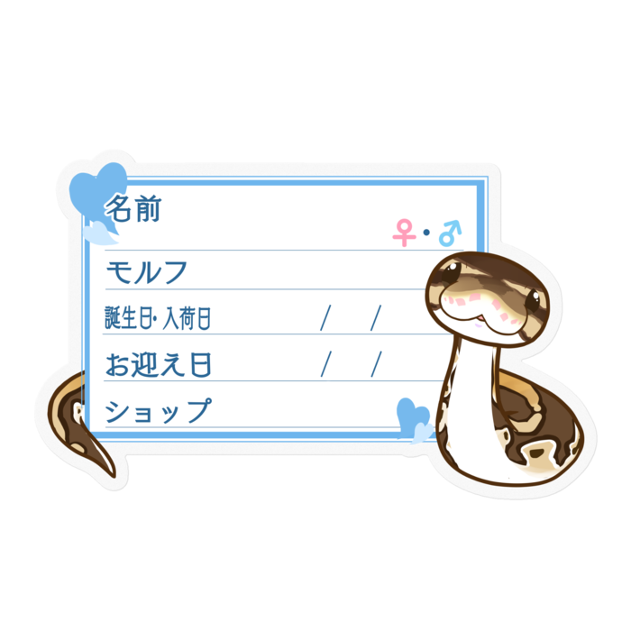 【🐍お名前ステッカー】ボールパイソン(ノーマルミニ) ‐ハート/ブルー