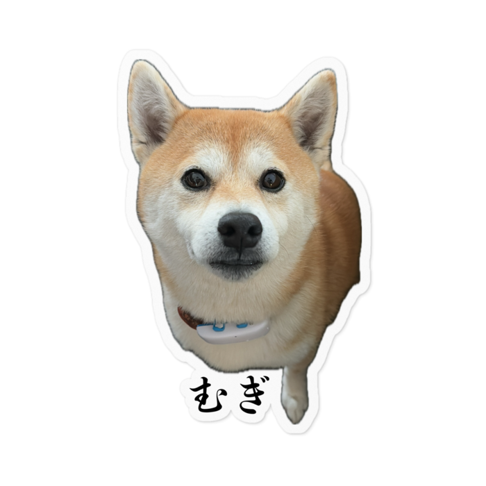 ステッカー - 100 x 100 (mm)