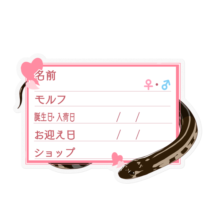 ステッカー - 100 x 100 (mm)(4)