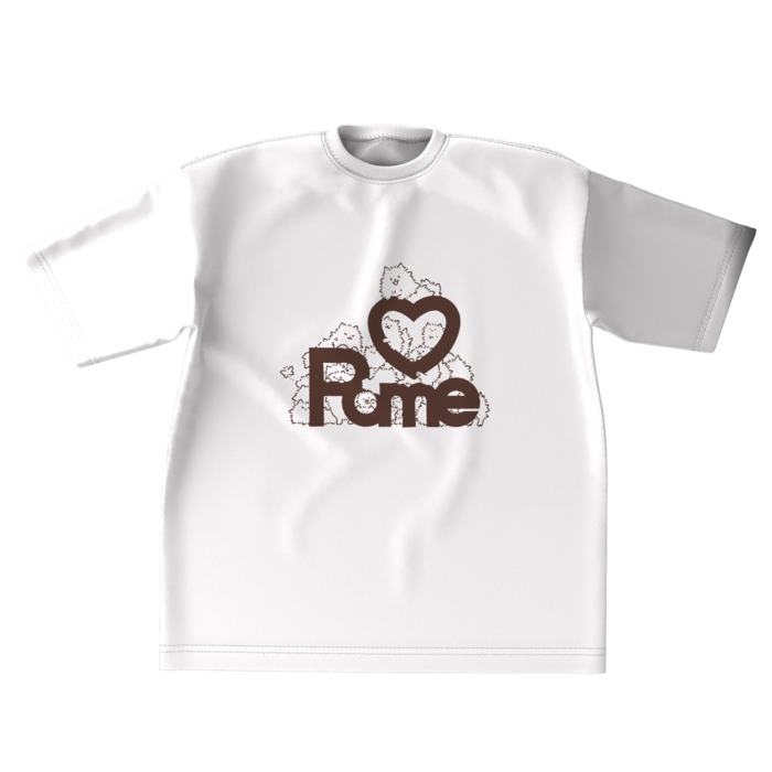 ビッグシルエットTシャツ - XL - ライン