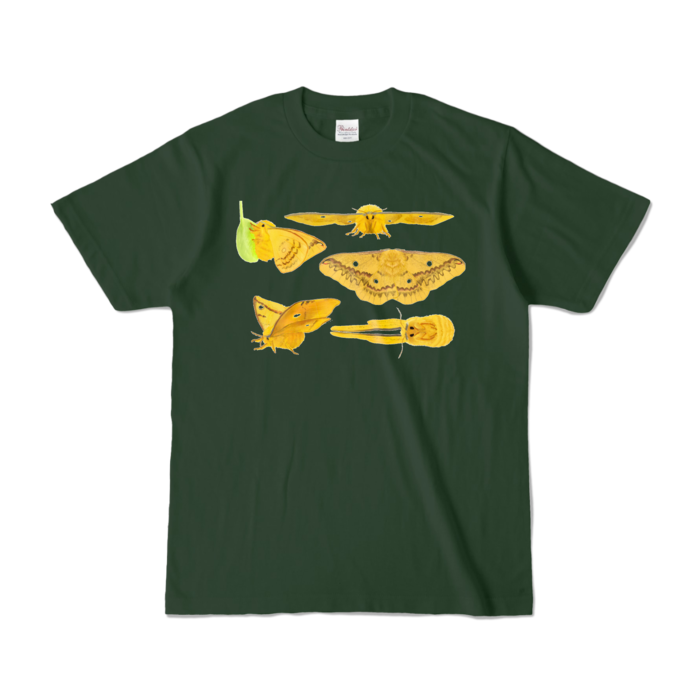 カラーTシャツ - S - フォレスト (濃色)