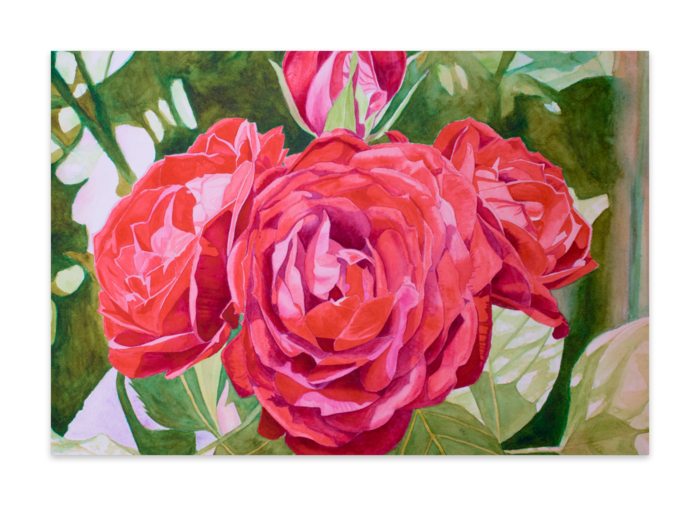 ポストカード(10枚セット) - ヴァンヌーボVGスノーホワイト195kg